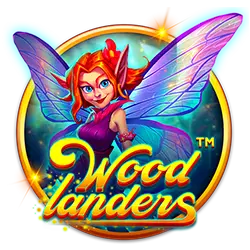 bet 65 m city cassino H5