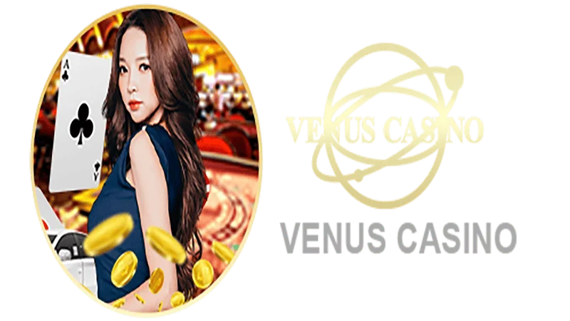 bet 65 Informações básicas sobre o saguão do cassino Venus